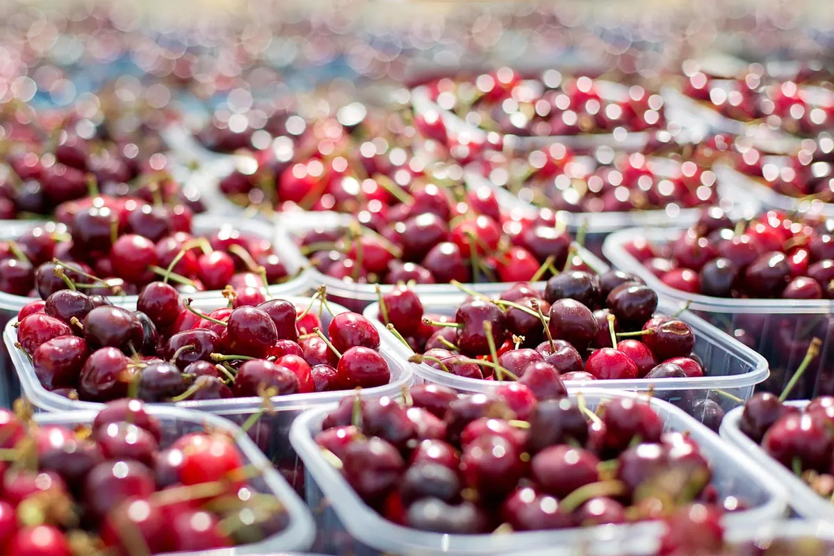 Willow Creek Farmers Market 2025 Season: Opening Day, Hours, Vendors, and Parking Tips